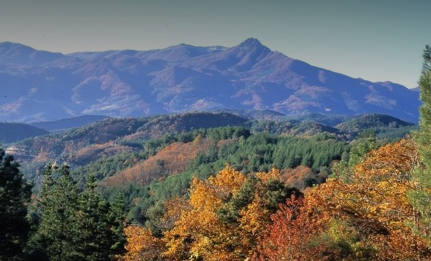 Parc Natural del Montseny